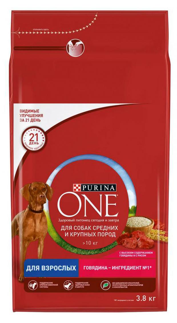 Сухой корм для собак Purina ONE для средних и крупных пород с высоким содержанием говядины и с рисом, 3,8 кг
Сухой корм для собак Purina ONE для средних и крупных пород с высоким содержанием говядины и с рисом, 3,8 кг