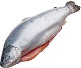 Форель охлажденная потрошеная с головой ~ 3-4 кг, вес