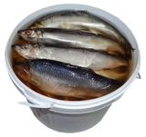 Сельдь атлантическая слабосоленая неразделанная, вес