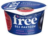 Йогурт густой Viola Lactose Free малина черная смородина безлактозный 2,7%, 180 г