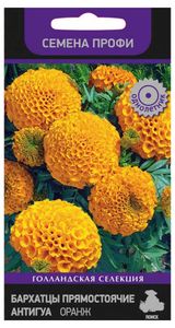 Изображение товара Семена Бархатцы антигуа «Поиск» Оранж, 15 шт
