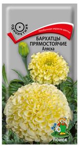 Изображение товара Семена Бархатцы прямостоячие «Поиск» Аляска, 0,4 г