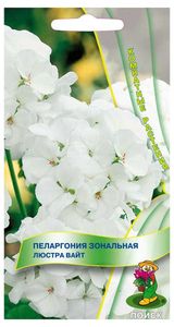 Изображение товара Семена Пеларгония «Поиск» Люстра вайт, 5 шт