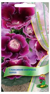 Изображение товара Семена Глоксиния «Поиск» Импресс парпл, 5 шт