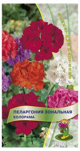 Изображение товара Семена Пеларгония зональная «Поиск» Колорама, 0,05 г