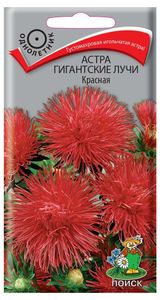 Изображение товара Семена Астра «Поиск» Гигантские лучи красная, 0,3 г