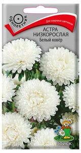 Изображение товара Семена Астра низкорослая «Поиск» Белый ковер, 0,2 г