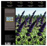 Изображение товара Саженцы Буддлея «Цветочный альянс» Давида Блек Найт