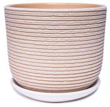 Изображение товара Горшок Лоза-А керамический бежевый без поддона, Ø12 см