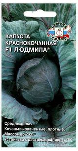 Изображение товара Семена Капуста «СеДеК» Людмила F1, 0,1 г