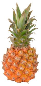 Изображение товара Ананас мини, 1 шт