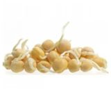 Изображение товара Проростки семян гороха (нут), 150 г