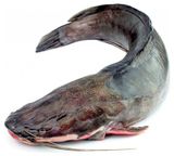 Изображение товара Сом охлажденный потрошеный с головой, вес