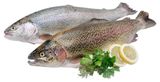 Изображение товара Форель охлажденная крупная потрошеная с головой ~ 2,5 кг, вес