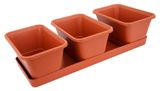 Изображение товара Мини-сад 3 горшка с поддоном, 33 см