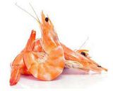 Изображение товара Креветки Королевские в панцире 50/70, вес