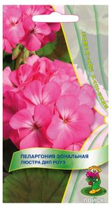 Изображение товара Пеларгония «Поиск» Люстра Дип Роуз, 5 шт