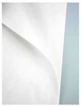 Изображение товара Бумага флористическая упаковочная тишью «Азалия Декор» 10 листов белая для цветов и подарков 50x66 см, 1 шт