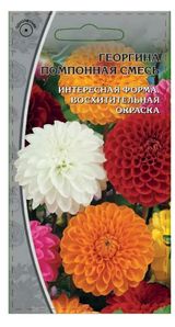 Изображение товара Семена «ПСК» Георгина помпонная смесь, 0,2 г