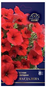 Изображение товара Семена «СеДеК» Петуния Магдалена гибридная