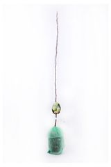 Изображение товара Саженцы «Поиск» Яблоня колонновидная, 1 шт