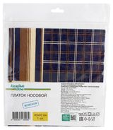 Изображение товара Платок «Каждый день» носовой мужской, 40х40 см