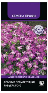 Изображение товара Семена Лобелия прямостоячая «Поиск» Ривьера Роуз, 10 шт