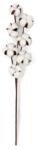 Изображение товара Ветка искусственная Хлопок 60 см, 1 шт