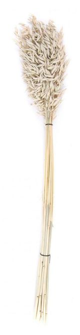 Изображение товара Букет сухой «Стильный Дом» Овес, 60 см