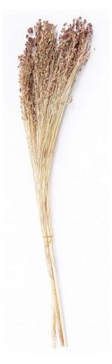 Изображение товара Букет сухой «Стильный Дом» Сорго веничное, 60 см