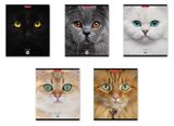 Изображение товара Тетрадь ErichKrause Cats в клетку А5+, 96 л, 1 шт в ассортименте