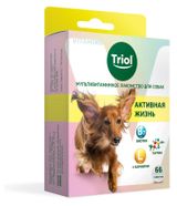 Изображение товара Лакомство для собак Triol мультивитаминное активная жизнь, 33 г