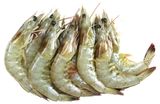 Изображение товара Креветки белоногие в панцире свежемороженые 50/70, вес