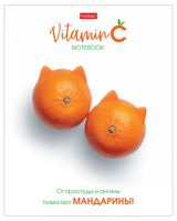 Изображение товара Тетрадь Hatber клетка А5, 48 л