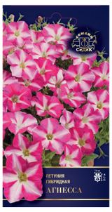 Изображение товара Семена «СеДеК» Петуния Агнесса гибридная