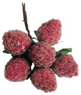 Изображение товара Набор-букет ягоды малины «Азалия Декор» засахаренной D2,2x3xL11см малиновый на вставках из 6 шт для цветов и подарков, 1 шт