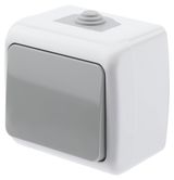 Изображение товара Выключатель Intro Atlantic 5-101-03 открытой установки серый