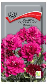 Изображение товара Семена «Поиск» Гвоздика садовая Шабо Маджента, 0,1 г