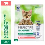 Изображение товара Сухой корм для иммунитета кошек PERFECT FIT Immunity говядина семена льна голубика, 1,1 кг