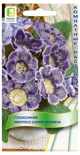 Изображение товара Семена «Поиск» Глоксиния Импресс Синие Чернила, 5 шт