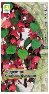 Изображение товара Семена «Поиск» Родохитон Китайские Фонарики, 5 шт
