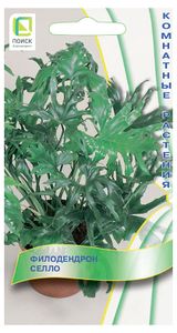 Изображение товара Семена «Поиск» Филодендрон Селло, 3 шт