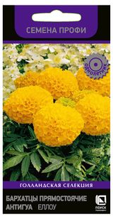 Изображение товара Семена «Поиск» Бархатцы Прямостоячие Антигуа Еллоу, 15 шт