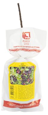 Изображение товара Саженцы «Поиск» Ирга канадская, 1 шт