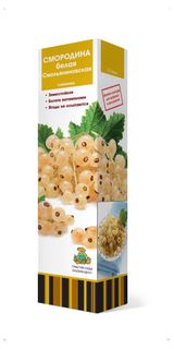 Изображение товара Саженцы «Поиск» Смородина белая Смольяниновская, 1 шт