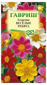 Изображение товара Семена «Гавриш» Георгина Веселые ребята