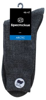 Изображение товара Носки мужские «Брестские» ARCTIC 14с2431 серые, р.31