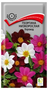 Изображение товара Семена «Поиск» Георгина низкорослая Хоровод, 10 шт