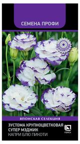 Изображение товара Семена «Поиск» Эустома крупноцветковая Супер Мэджик Капри Блю Пикоти, 5 шт