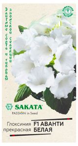 Изображение товара Семена «Гавриш» Глоксиния Аванти белая F1, 4 шт